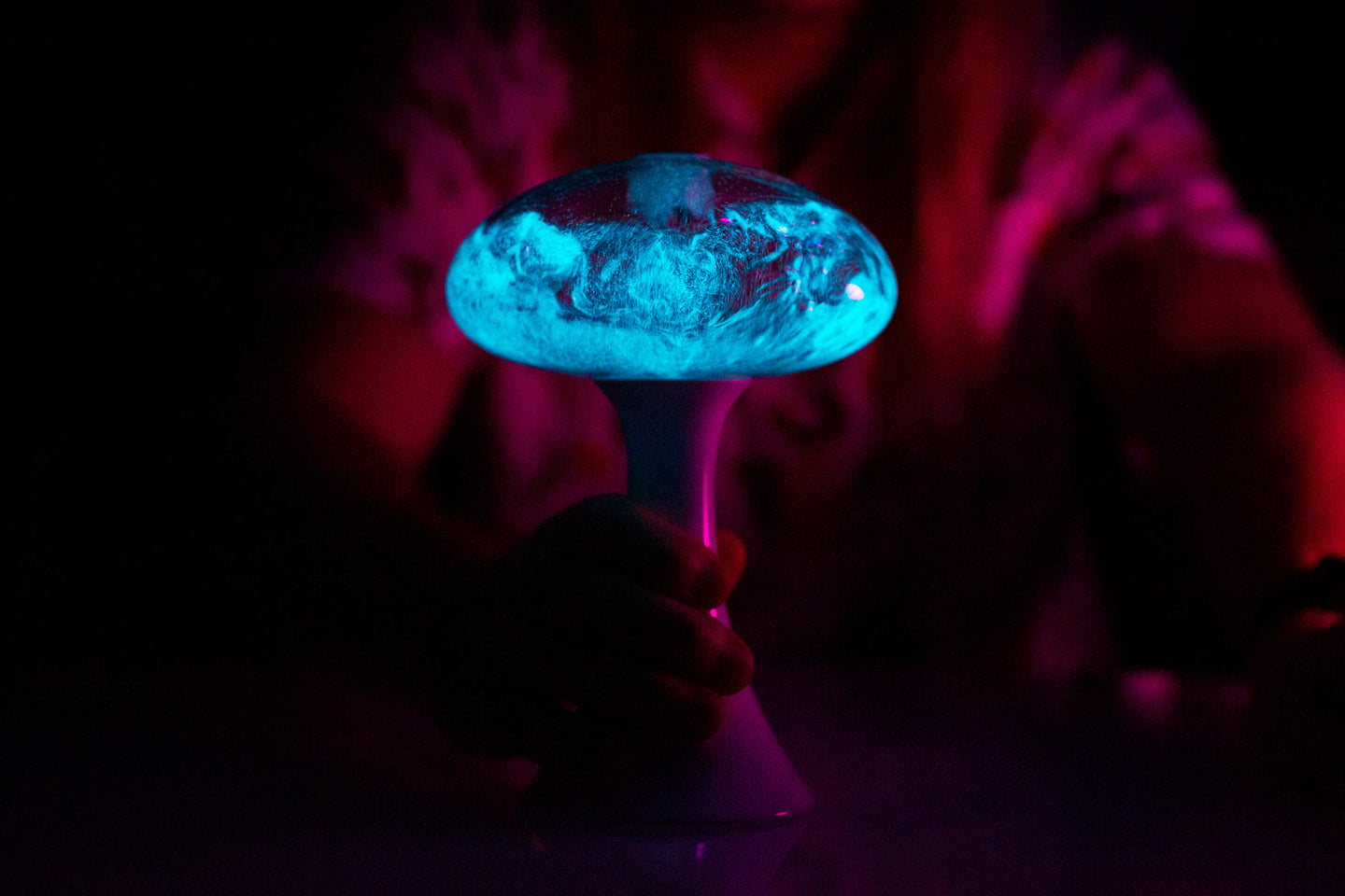 Bioluminescent dinoflagellate aquarium
